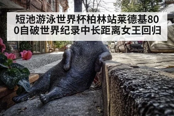短池游泳世界杯柏林站莱德基800自破世界纪录中长距离女王回归